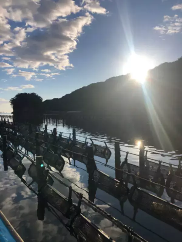 徳島県産「あまべ牡蠣」が‘‘日本の食品’’輸出EXPOに登場！