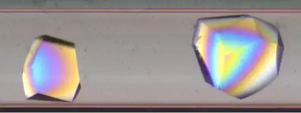 宇宙空間での「タンパク質結晶化実験」に成功