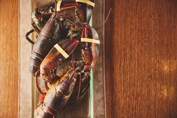 「2023年3月10日（金）東京ミッドタウン八重洲に“最高級和牛×海鮮”鉄板焼きの新店舗「加藤牛肉店　小川のうに」がオープン！」の画像