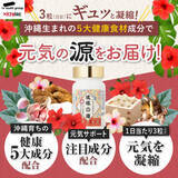 「元気あふれる沖縄人のエネルギー源を凝縮！毎日の元気を応援する「イキイキサプリ　琉球の源」4月9日（土）より発売開始。」の画像1