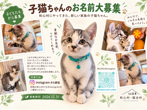 あえて子ども限定。子どもが自分の感性で考え、動物や命を大切にするきっかけに。千葉・子猫の名前募集キャンペーン開催中