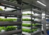 「C&Rグループの特例子会社 One Leaf Clover　就労継続支援B型事業所Beanstalk本格始動」の画像1