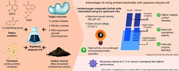 スクリーン印刷に適合した酵素インクを開発 ～酵素電極を一括形成し、高い再現性と量産性を実現～