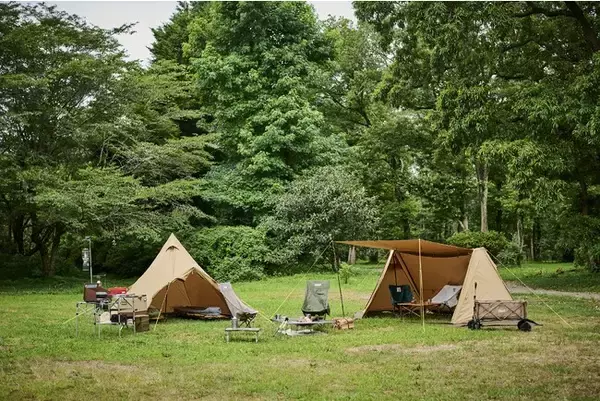 「コールマン「2-ポールシェルターTX/デュオ」「ティピーTX/ST」発売」の画像