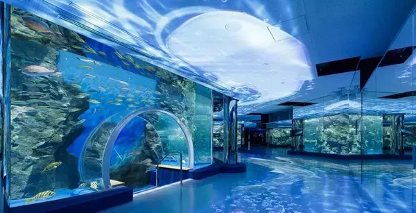 のとじま水族館の再開を盛り上げる、いまSNSで話題のスプレーアートエデン梅澤。魂を揺さぶるアートの力で能登を支援。