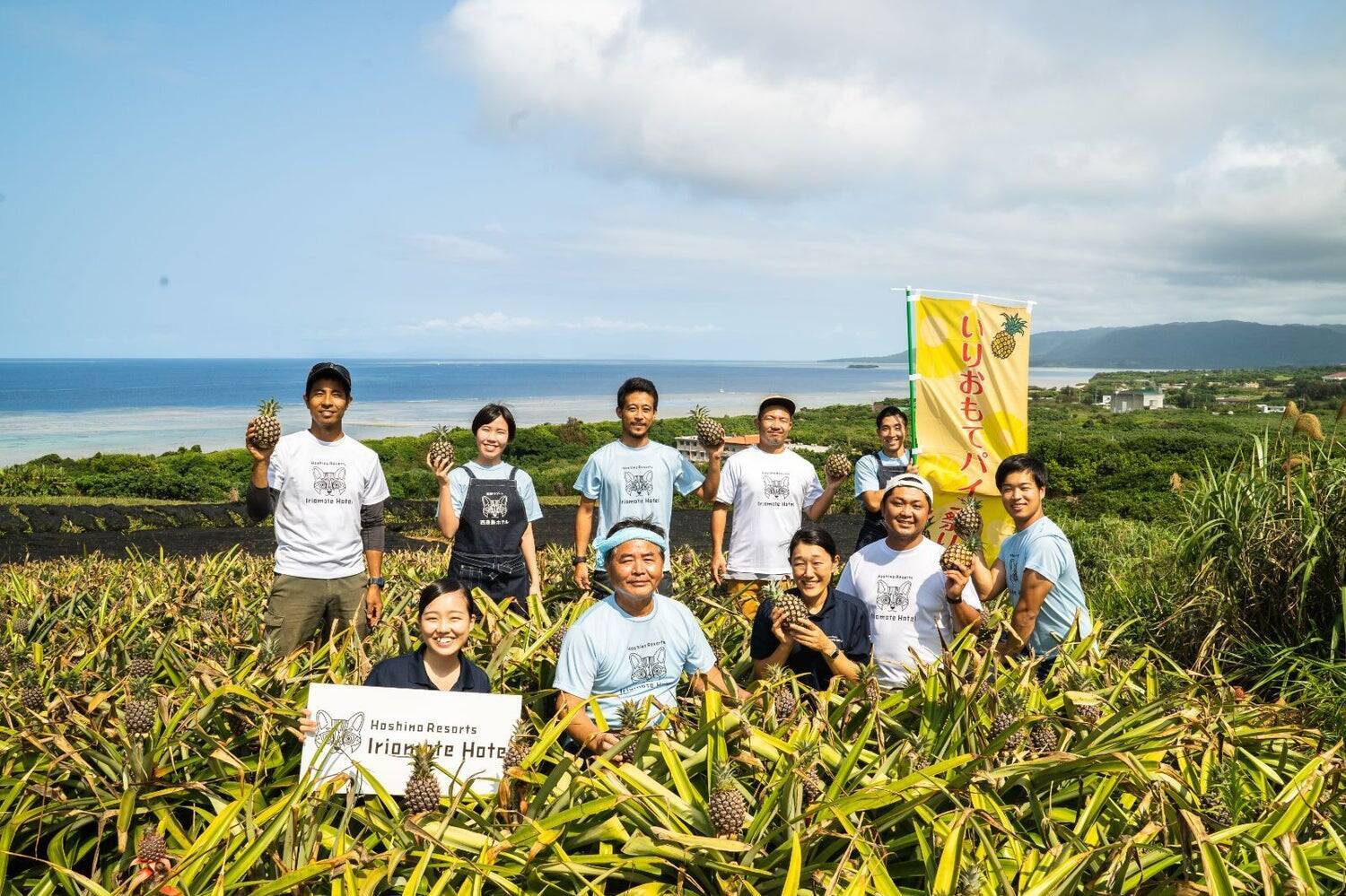 なぜホテルスタッフの腕は傷だらけだったのか？ 「全国に轟くブランドへ」西表島のパイン農家と挑んだ泥臭い共創ストーリー