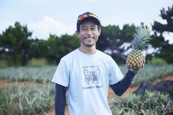 「なぜホテルスタッフの腕は傷だらけだったのか？ 「全国に轟くブランドへ」西表島のパイン農家と挑んだ泥臭い共創ストーリー」の画像