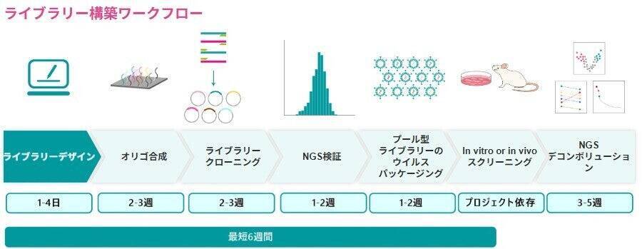創薬・生命科学研究を加速するカスタムライブラリー構築：VectorBuilderが、ベクター設計からNGS解析まで一貫して高精度スクリーニングを支援