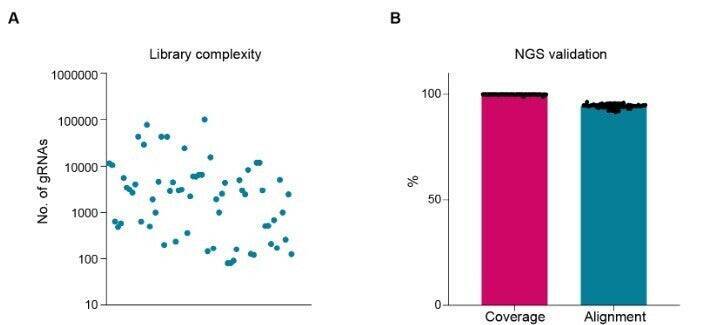 創薬・生命科学研究を加速するカスタムライブラリー構築：VectorBuilderが、ベクター設計からNGS解析まで一貫して高精度スクリーニングを支援