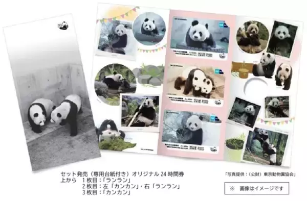 「ジャイアントパンダ来園50周年記念」東京メトロオリジナル24時間券を発売します！
