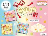 「カリカリ食感がクセになる！伝統的な和菓子『金平糖』とチョコレートを組み合わせた新商品「チロルチョコ〈金平糖〉」を発売♪」の画像1