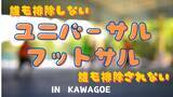 「誰も排除しない・排除されない「ユニバーサルフットサル」12月21日（日）開催！」の画像1