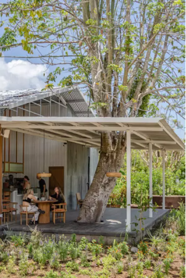 世界中のナチュラリストが集まるバリ島ウブドのプラントベースレストラン「ALCHEMY(アルケミー)」初の海外出店、麻布台ヒルズに2023年11月24日（金）にオープン