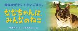 「【新刊情報】「地域ねこ」を通じて、命の大切さを考える、実話をもとにした絵童話『ななちゃんは、みんなのねこ』（今西乃子・作／ひろみちいと・絵）発売！」の画像1