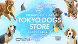 「犬のしつけ専門店「東京DOGS-足立-」に、しつけ専門ドッグギアブランド「TOKYO DOGS STORE」の商品展示スペースを導入」の画像1