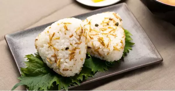 昆虫食TAKEO×フライハイ、国産昆虫シリーズ「ちりめんマゴット」を発売。