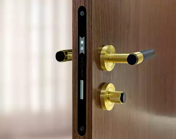 在日外国人や富裕層向けに欧州テイストの高級室内ドアを新開発しました