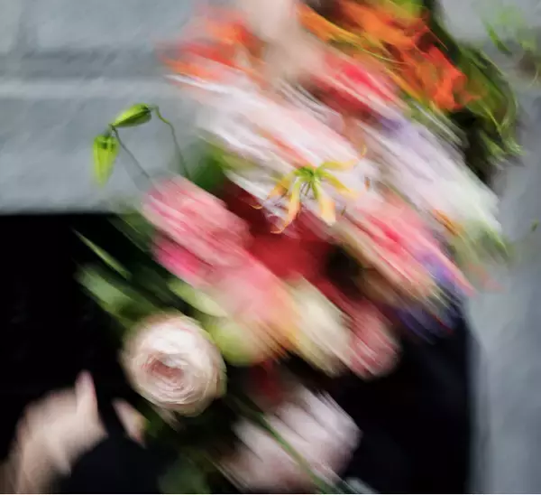 【SHIRO】LIMITED PERFUME ゼロコレクション パフューム