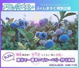 「ふくしまプレデスティネーションキャンペーン特別企画　日本唯一のブルーベリーミュージアム　(たぶん)東北で1番早いブルーベリー狩り体験、始まる！［福島県郡山市役所］」の画像1