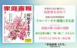 「『家庭画報 4月号』2月28日発売　桜絶景を求めて／没後100年 クロード・モネ／高橋大輔 40歳の飛躍／鈴木京香が纏う唯一無二のきものほか」の画像1