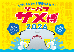 【横浜・八景島シーパラダイス】期間限定で水族館「ドルフィン ファンタジー」が大変身！？五感で楽しむサメ特化型の特別展を開催！『シーパラ サメ博２０２６』【２０２６年１月９日（金）～４月５日（日）】