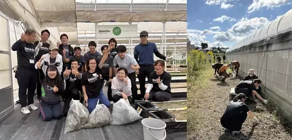 「社会への“インパクト”を実践で形に デロイト トーマツが取り組むImpact Monthの意義と広がり」の画像