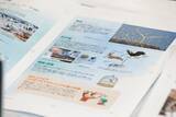「最新の知見に基づく正確性と、子どもに伝わる親しみやすさ　『学研の図鑑LIVE 鳥　新版』をつくった二つの視点」の画像10
