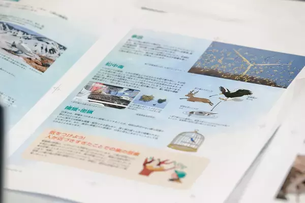 「最新の知見に基づく正確性と、子どもに伝わる親しみやすさ　『学研の図鑑LIVE 鳥　新版』をつくった二つの視点」の画像