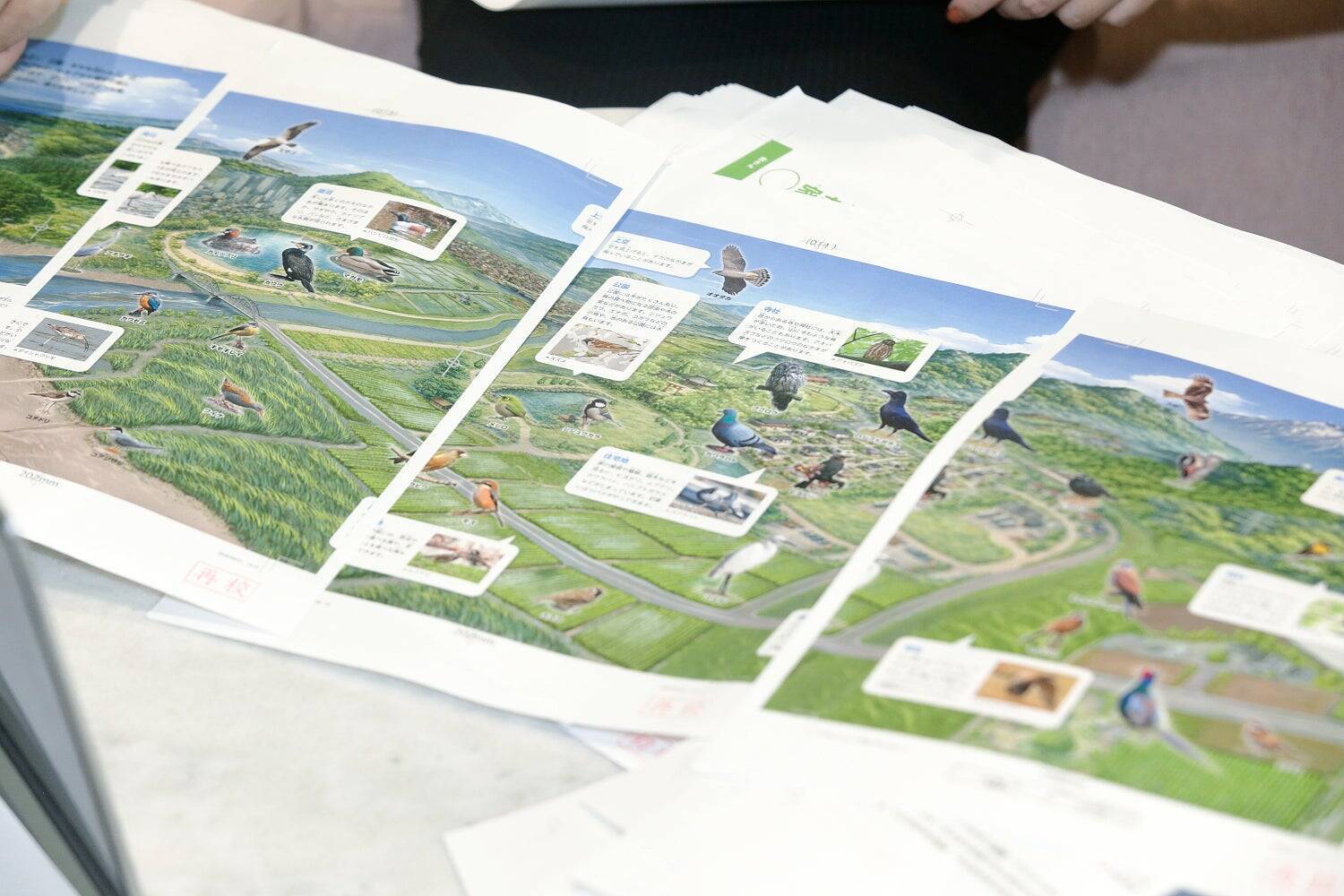 最新の知見に基づく正確性と、子どもに伝わる親しみやすさ　『学研の図鑑LIVE 鳥　新版』をつくった二つの視点