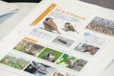 「最新の知見に基づく正確性と、子どもに伝わる親しみやすさ　『学研の図鑑LIVE 鳥　新版』をつくった二つの視点」の画像4