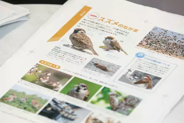 「最新の知見に基づく正確性と、子どもに伝わる親しみやすさ　『学研の図鑑LIVE 鳥　新版』をつくった二つの視点」の画像