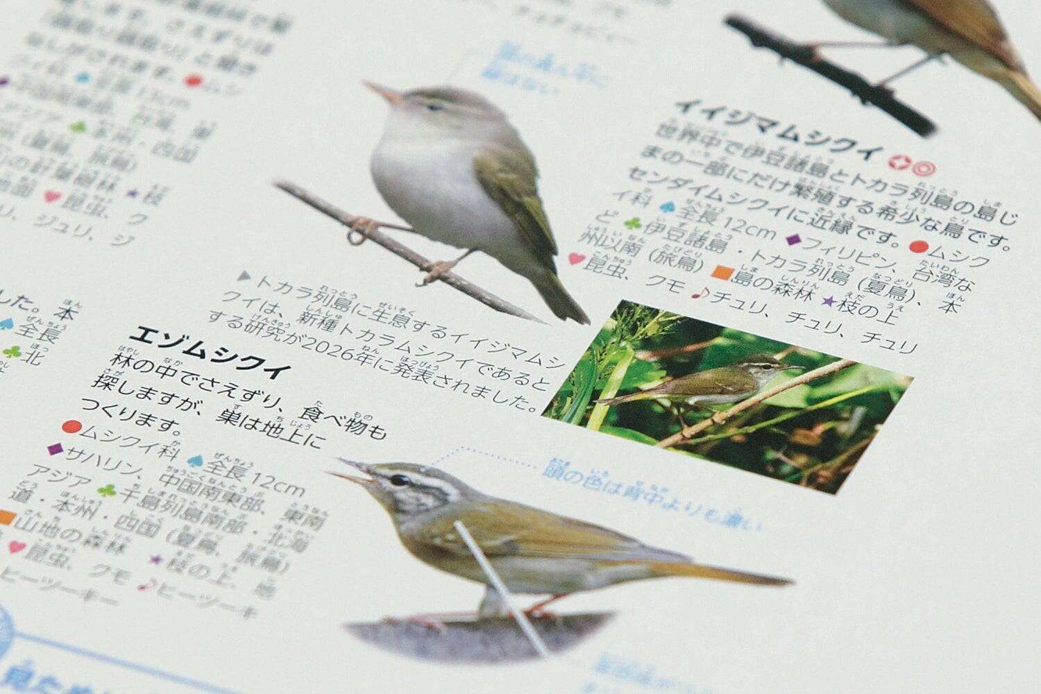 最新の知見に基づく正確性と、子どもに伝わる親しみやすさ　『学研の図鑑LIVE 鳥　新版』をつくった二つの視点