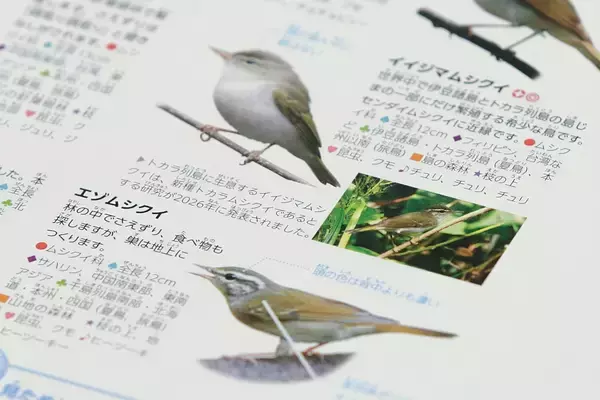 「最新の知見に基づく正確性と、子どもに伝わる親しみやすさ　『学研の図鑑LIVE 鳥　新版』をつくった二つの視点」の画像