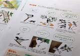 「最新の知見に基づく正確性と、子どもに伝わる親しみやすさ　『学研の図鑑LIVE 鳥　新版』をつくった二つの視点」の画像8