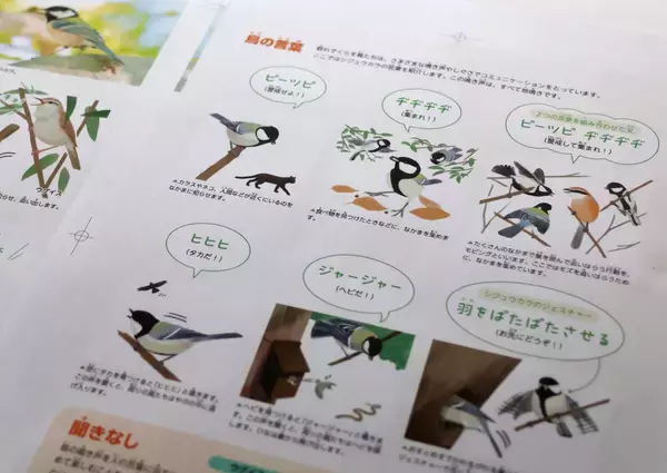 「最新の知見に基づく正確性と、子どもに伝わる親しみやすさ　『学研の図鑑LIVE 鳥　新版』をつくった二つの視点」の画像