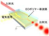 「可視光で動作する高効率な有機電気光学ポリマー光変調器を開発」の画像1