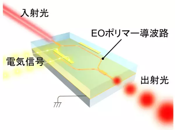 可視光で動作する高効率な有機電気光学ポリマー光変調器を開発