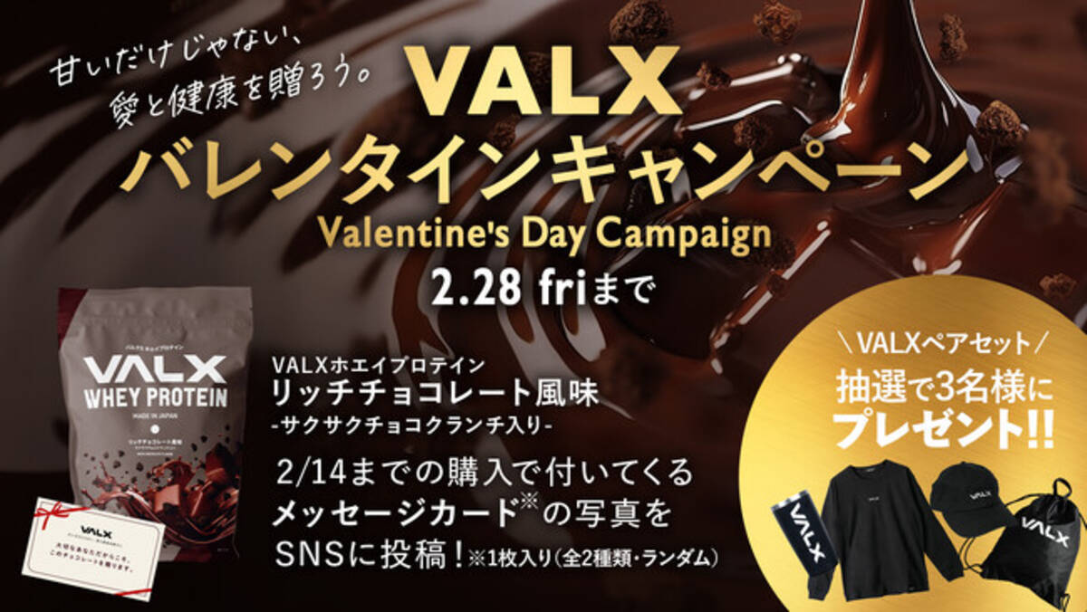 VALX バルクス ホエイ プロテイン 3㎏ チョコレート 風味 VALX 