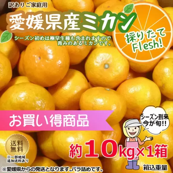 ＜Qoo10「柑橘類」販売数ランキング＞味は抜群！お得な愛媛県産みかんが人気