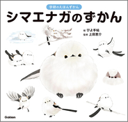 【シマエナガ好きに朗報！】1冊まるごとシマエナガ！　可愛すぎる『シマエナガのずかん』予約受付中！
