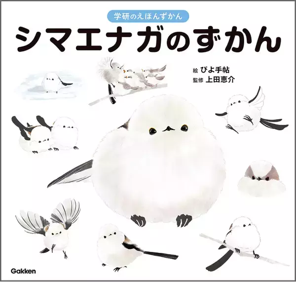 【シマエナガ好きに朗報！】1冊まるごとシマエナガ！　可愛すぎる『シマエナガのずかん』予約受付中！