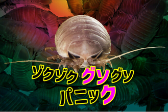 【横浜・八景島シーパラダイス】思わず“ゾクッ！”とする、ハロウィン特別展示！視界を埋め尽くす５００匹のオオグソクムシが集結『ゾクゾクッ！グソグソパニック』【２０２６年１０月２２日（木）～３１日（土）】