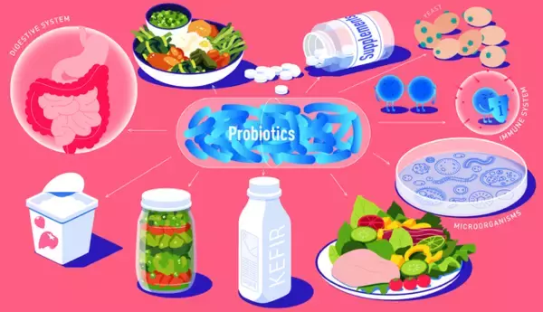 一般的薬剤の投与がおよぼす腸内細菌叢への影響とは？