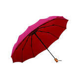 「【oiwai】2025年5/1(木)はワンダフルデー！楽天市場にて人気の名入れ傘「雨日和シリーズ」のポイント10倍セール実施いたします。あなたはどっち派？長傘 vs 折りたたみ傘、意外なメリット比較」の画像1