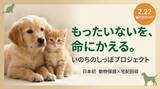 「【猫の日】不用品で保護猫を救う「いのちのしっぽ」開始」の画像1