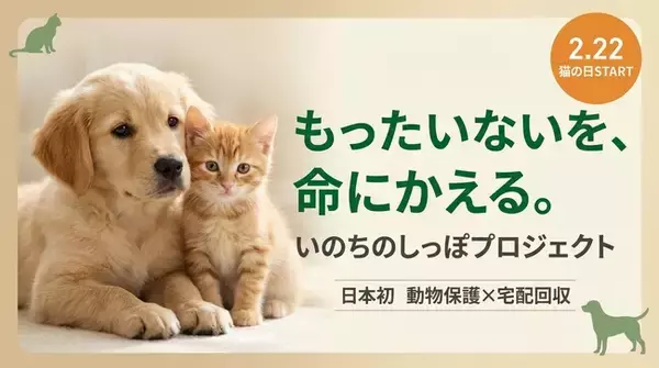 「【猫の日】不用品で保護猫を救う「いのちのしっぽ」開始」の画像