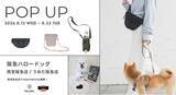 「【POP UP開催】愛犬との暮らしを快適にするドイツ発「PALOPA」が阪急ハロードッグに登場」の画像1
