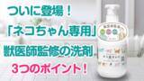 「【獣医師監修】ぬめりが取れる猫専用の食器用洗剤「ネコ皿キレイ」がMakuakeにて先行販売開始！」の画像1