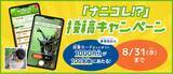 「100名超に豪華賞品があたる！学研の無料“AI図鑑アプリ”『ナニコレンズ』SNS投稿キャンペーン開始！（応募〆8/31）」の画像1
