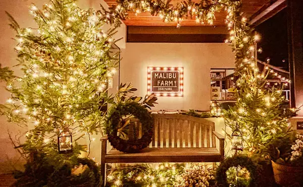 都心から約60分のリゾートで過ごすクリスマス。【リビエラ逗子マリーナ】900本のヤシ並木×上質なマリーナビューの非日常を味わえるレストランやホテルで、聖なる日を彩るスペシャルメニューを堪能